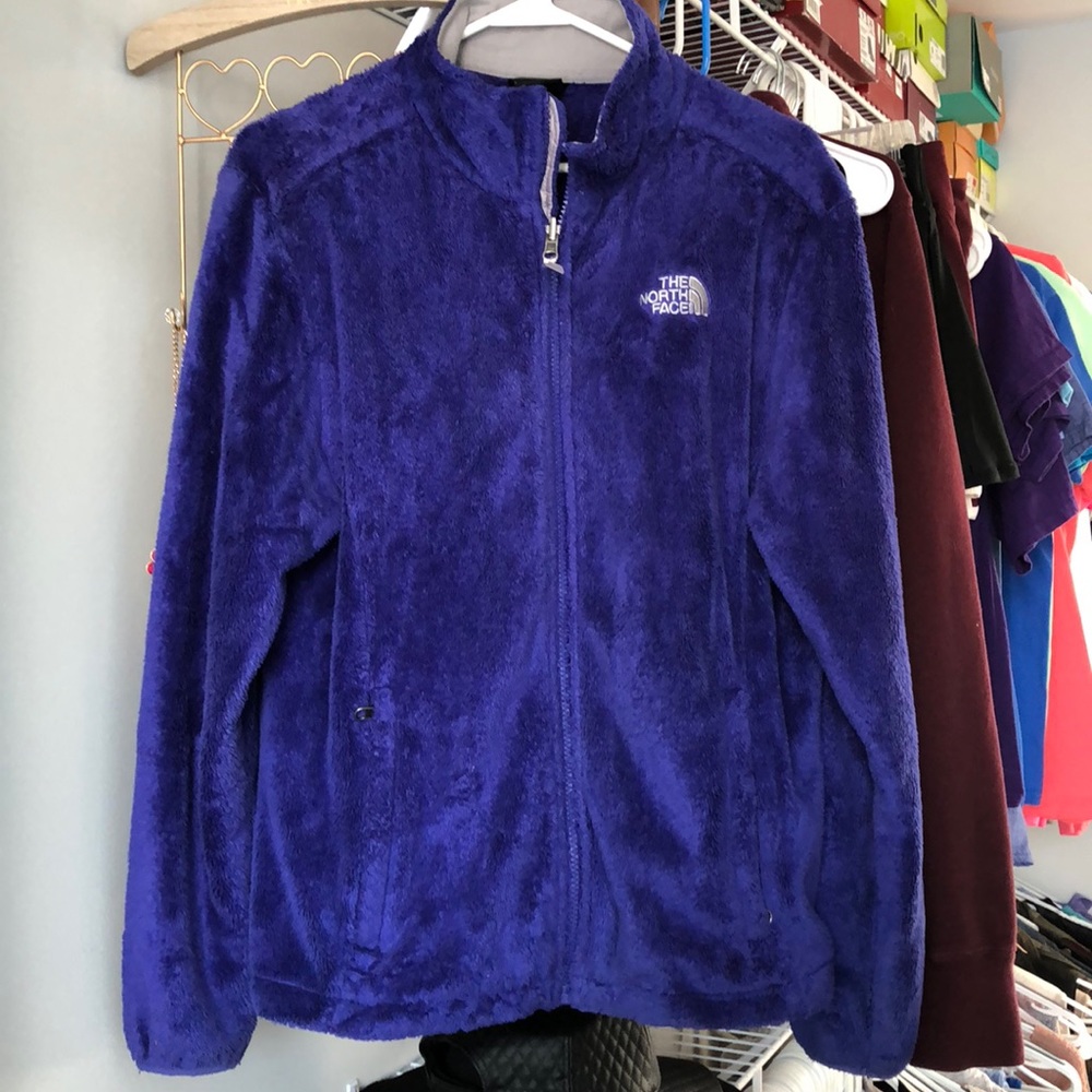Purple/Royal Blue North Face Jacket